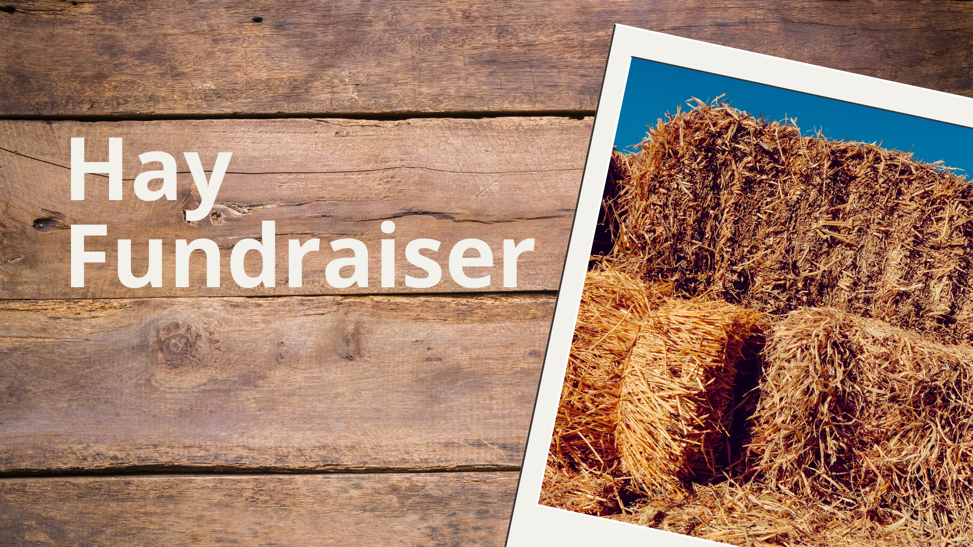 Abundant Life Ranch - Hay Fundraiser