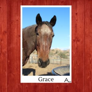 Grace – the Redemption Story