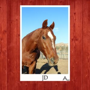 JD – the Athlete