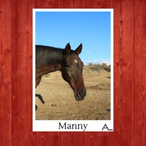 Manny – Overcoming the Odds